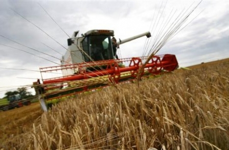 С улучшением погодных условий в Украине ускорился сбор поздних зерновых