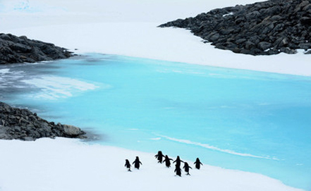 В Антарктиде ученые нашли огромную впадину