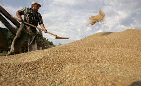 Работа по расширению рынков сбыта  зерновых продолжится в новом году