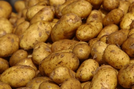 Любители картофеля рискуют заболеть диабетом