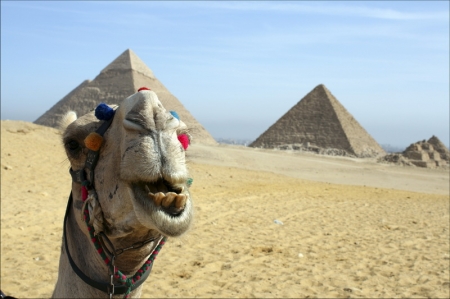 Осеннее путешествие в Египет