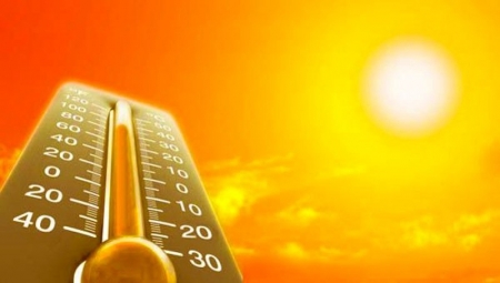 Август 2015 года оказался самым жарким за всю историю метеонаблюдений