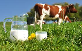 Кризис молочной отрасли Украины
