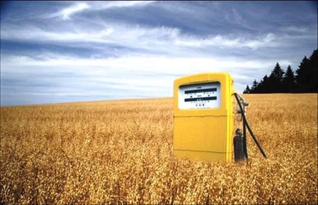 Специалисты считают, что для Украины дешевле производить биотопливо из мелассы