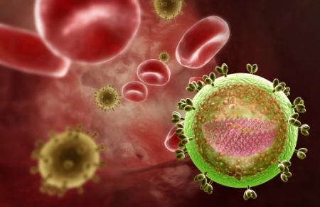 В Польше ученые обнаружили антибиотик, лечащий ВИЧ