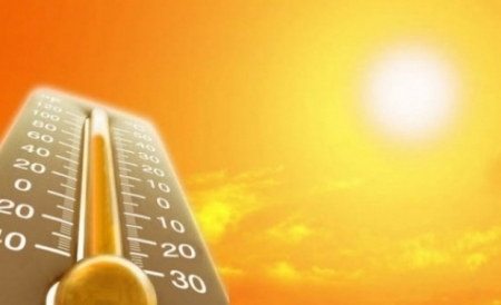 Главные правила для выживания в жару