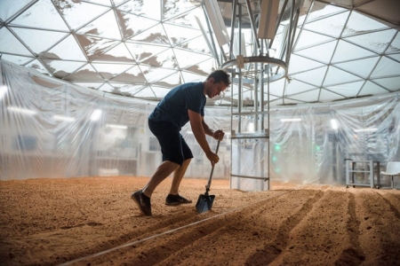 Исследователи хотят попробовать выращивать марсианскую картошку