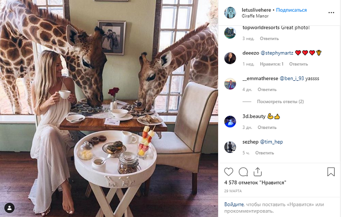 В одном из отелей Восточной Африки гости могут позавтракать вместе с жирафами: невероятные фото